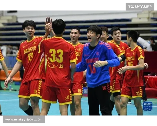 全国男子手球锦标赛技术统计：江苏队失误控制成夺冠要素